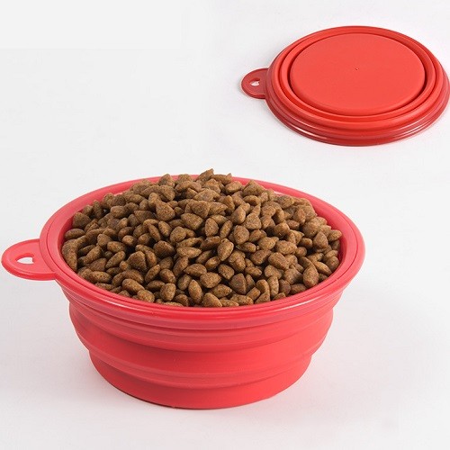 Collapsible silicone pet food bowl with carabiner